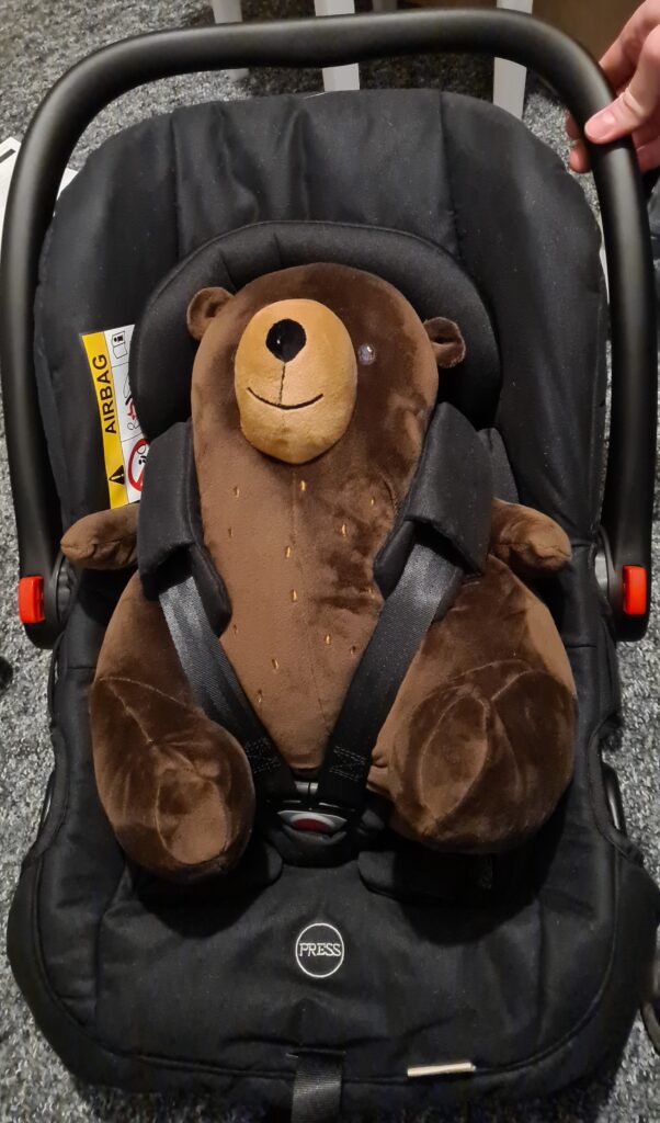 baby car seat with teddy bear