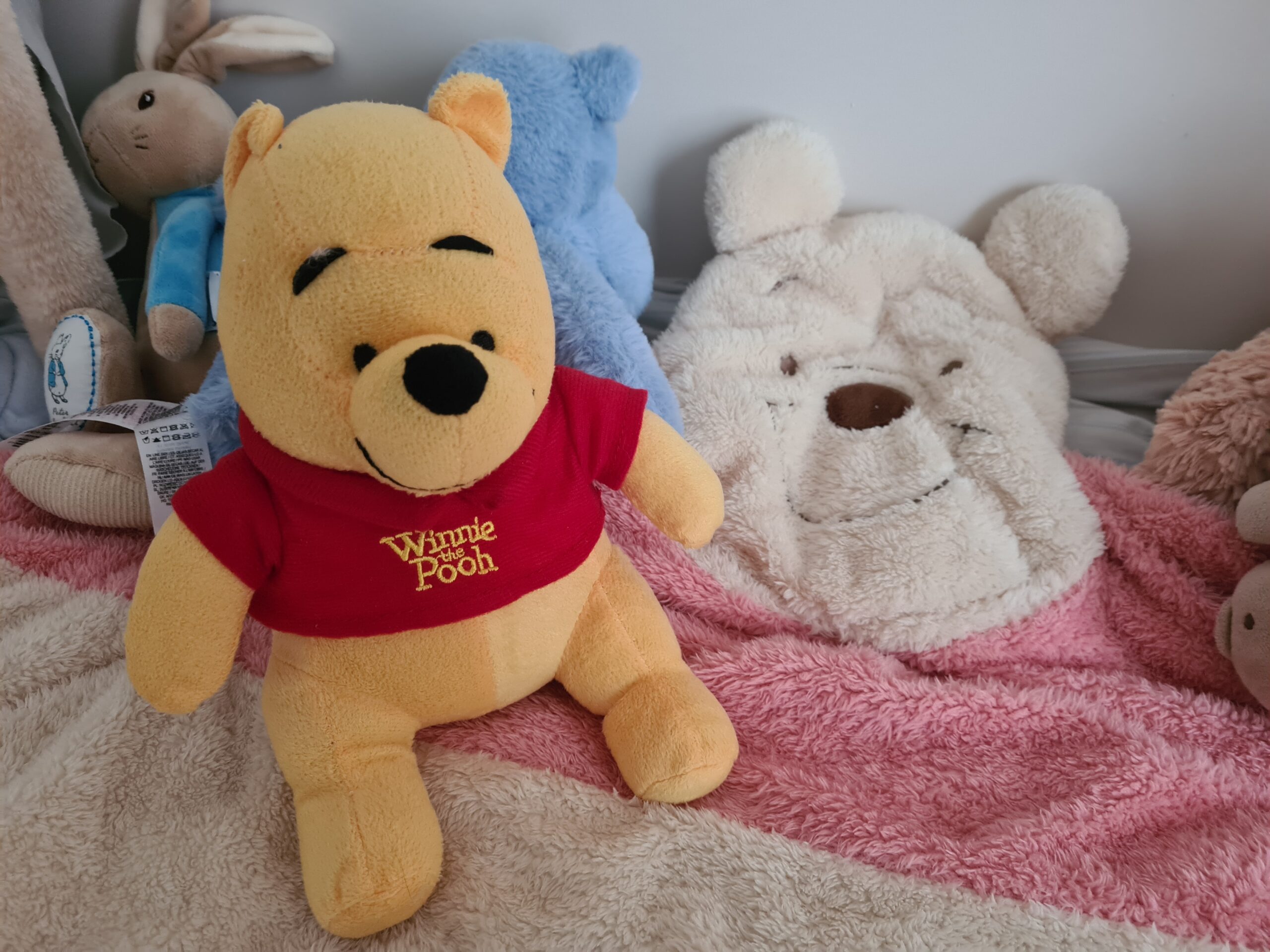 Winnie The Pooh toy