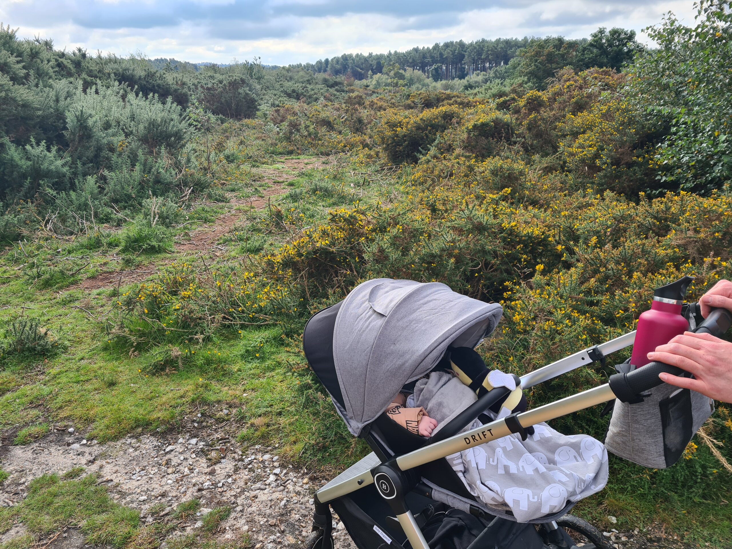 Pram at a country park