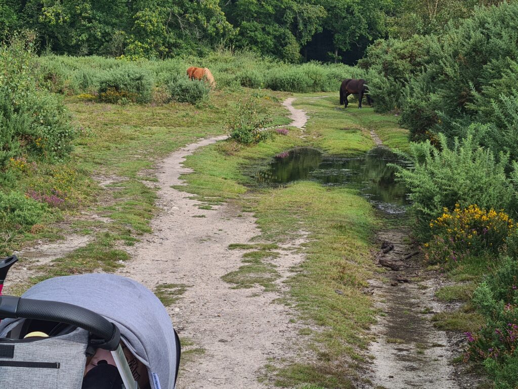 Pram and horses