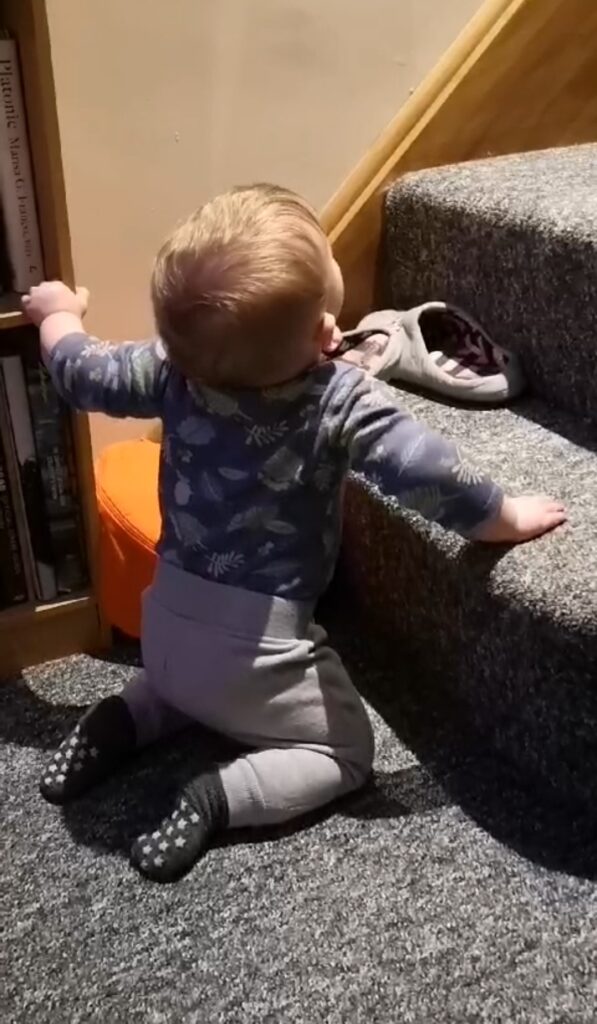 Image is of a baby using steps to help himself up