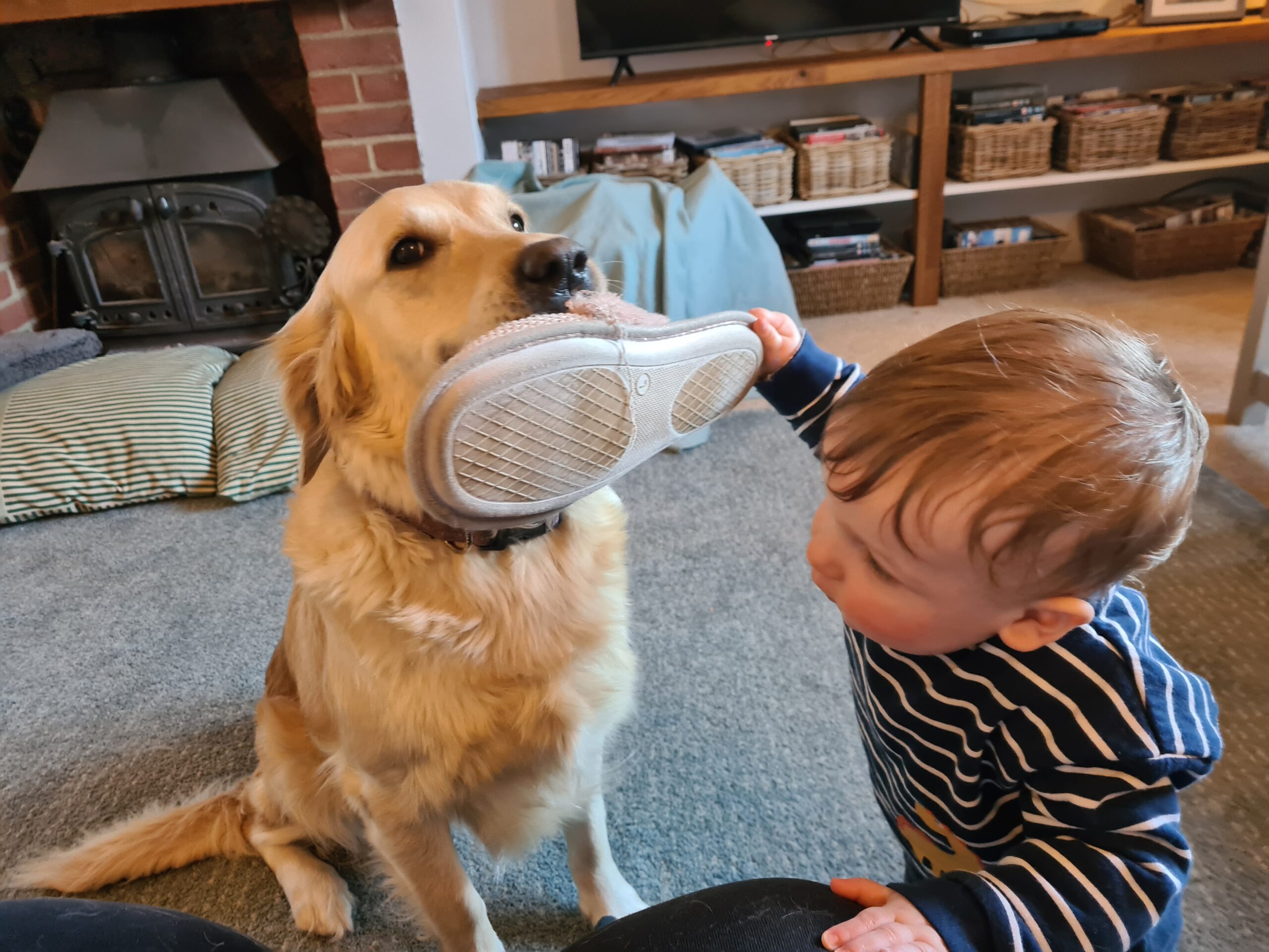 dog and baby