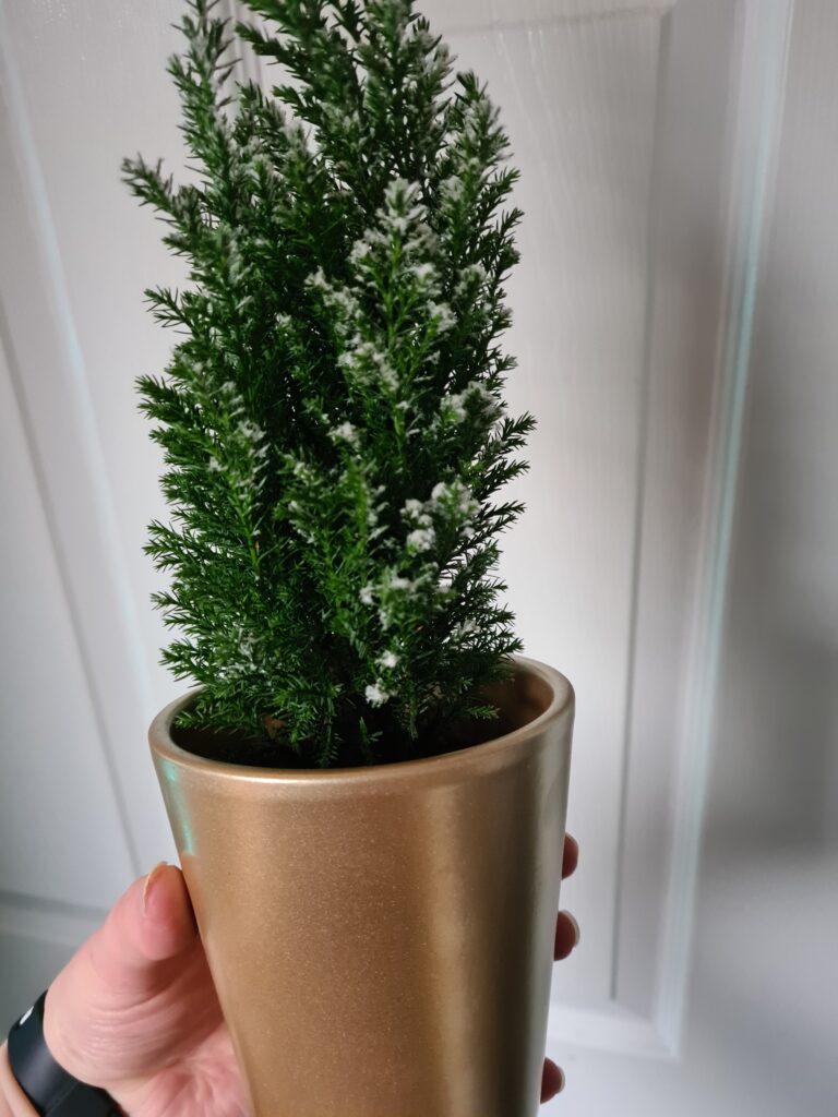 mini christmas tree